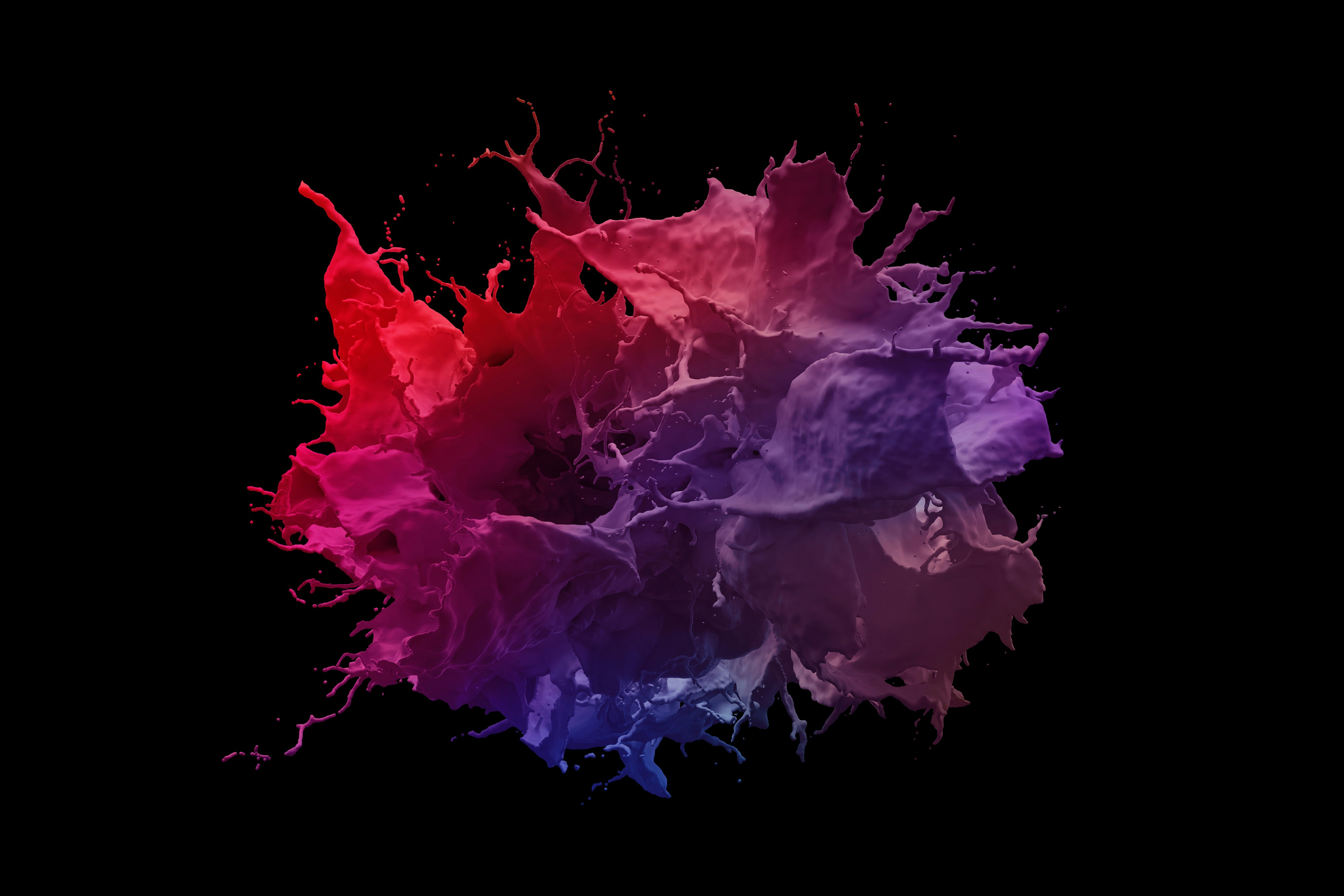 Splash image 2